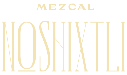 logo noshixtly